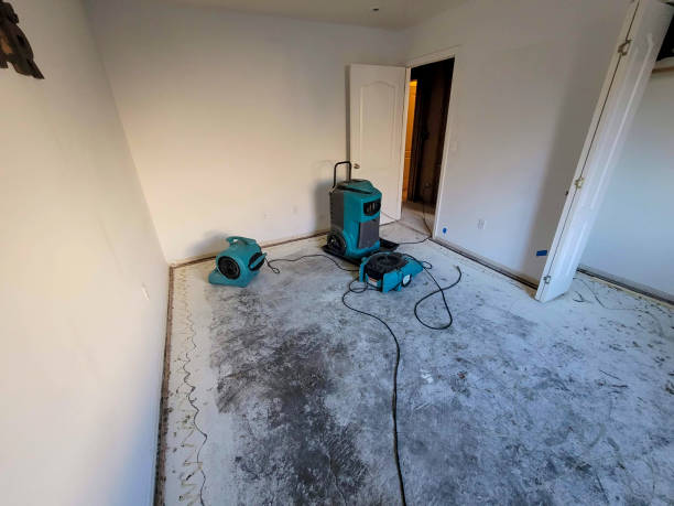 Best Water damage restoration near me  in Marion, AL