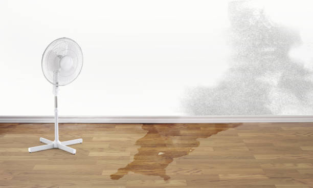 Best Flood restoration services  in Marion, AL