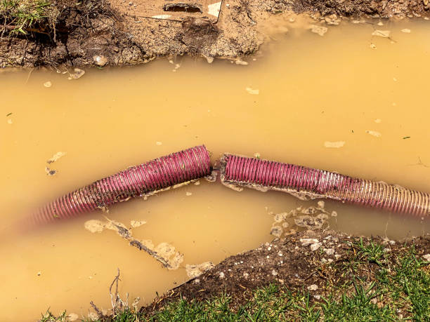 Trusted AL Water damage restoration Experts